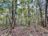 29.57 Ac County Road 155 - Photo 20