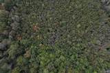29.57 Ac County Road 155 - Photo 3