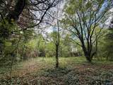 29.57 Ac County Road 155 - Photo 6
