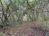 29.57 Ac County Road 155 - Photo 7