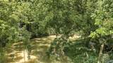 70 acres County Road 283 - Photo 17