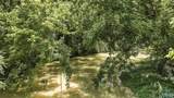 70 acres County Road 283 - Photo 19
