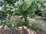 70 acres County Road 283 - Photo 2