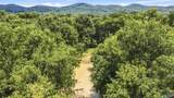 70 acres County Road 283 - Photo 20