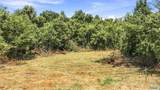70 acres County Road 283 - Photo 27