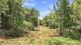 70 acres County Road 283 - Photo 28
