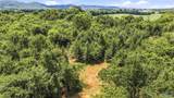 70 acres County Road 283 - Photo 29