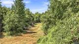 70 acres County Road 283 - Photo 30