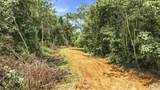 70 acres County Road 283 - Photo 32