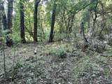 70 acres County Road 283 - Photo 6