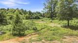 70 acres County Road 283 - Photo 7