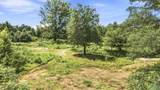 70 acres County Road 283 - Photo 8