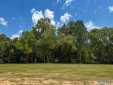 Lot 35 County Road 336 - Photo 6