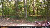42 acres County Highway 11 - Photo 13