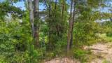 42 acres County Highway 11 - Photo 5