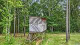 42 acres County Highway 11 - Photo 7