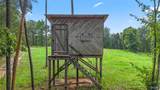 42 acres County Highway 11 - Photo 8