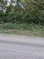 2 acres County Road 84 - Photo 1