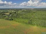 31 ACRES Cottontown Lane - Photo 5