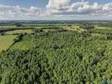 31 ACRES Cottontown Lane - Photo 6
