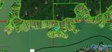 Lot 73 Sipsey Pines Road - Photo 3