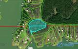 5.6 acres Sipsey Pines Road - Photo 1