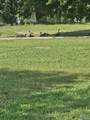 902 Vine Street - Photo 20