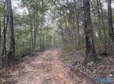 418 Manchester Drive - Photo 4