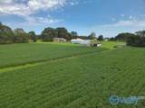 Lot 1 Tillman Mill Road - Photo 15