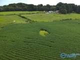 Lot 2 Tillman Mill Road - Photo 11