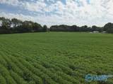 Lot 4 Tillman Mill Road - Photo 10