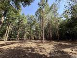 5 Acres +/- Oakland Drive - Photo 1