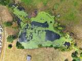 4535 Winchester Road - Photo 5