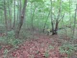 1664 County Road 119 - Photo 10