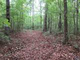 1664 County Road 119 - Photo 11