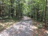 1664 County Road 119 - Photo 13