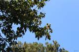 275 Beard Road - Photo 22