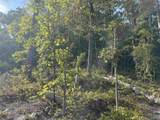 797 Dripping Rock Road - Photo 4