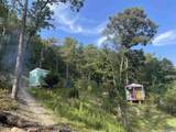 797 Dripping Rock Road - Photo 5