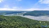 Lot County Road 223 - Photo 10