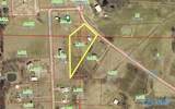5 acres County Road 343 - Photo 1