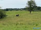 1470 Chamblee Mill Road - Photo 9