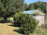 3587 County Road 601 - Photo 5