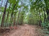 167 AC County Road 608 - Photo 27