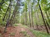 167 AC County Road 608 - Photo 40