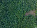 167 AC County Road 608 - Photo 7