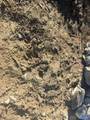 Lot 31 County Road 158 - Photo 11