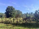 Lot 31 County Road 158 - Photo 6