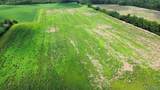89 Acres Ripley Road - Photo 13