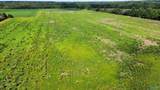 89 Acres Ripley Road - Photo 14